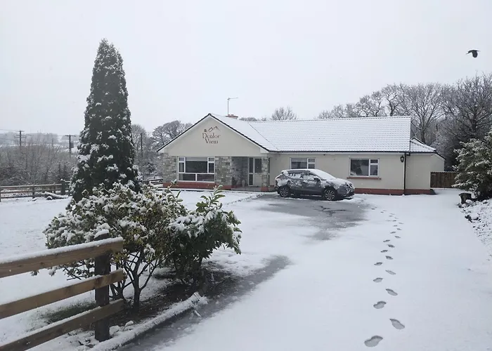 Dunloe View 民宿 基拉尼